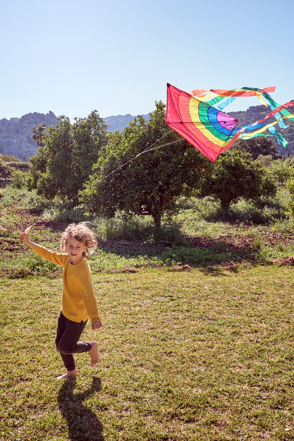 Παιδί πετάει έναν πολύχρωμο χαρταετό σε ένα ηλιόλουστο χωράφι με δέντρα και βουνά.